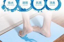 【送料無料】【メーカーさまよりクーポンあり】珪藻土バスマット